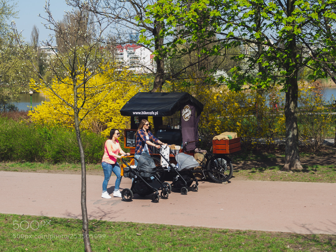 Olympus OM-D E-M10 III sample photo. Walk in a park photography