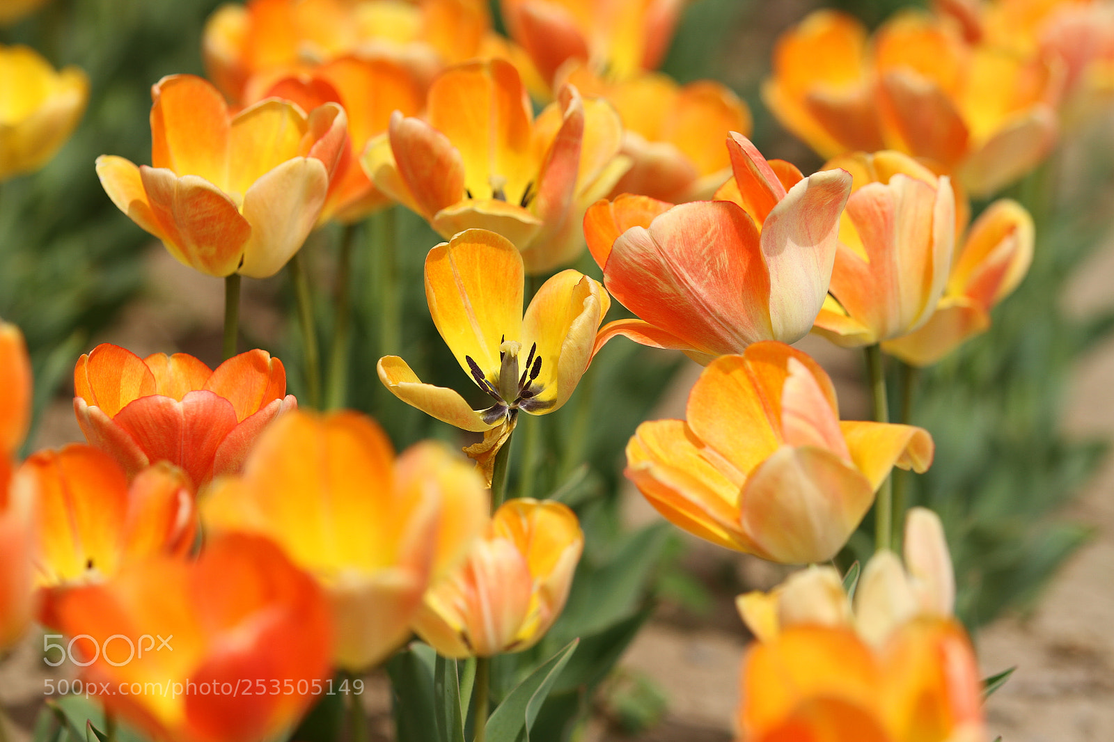 Canon EOS 7D sample photo. Untitled photography