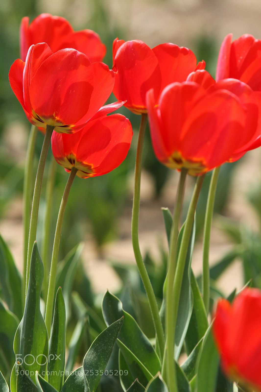 Canon EOS 7D sample photo. Untitled photography