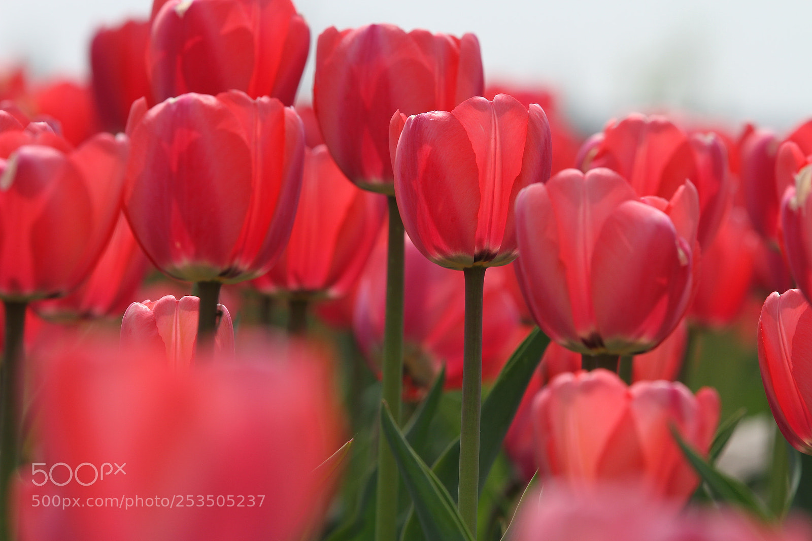 Canon EOS 7D sample photo. Untitled photography