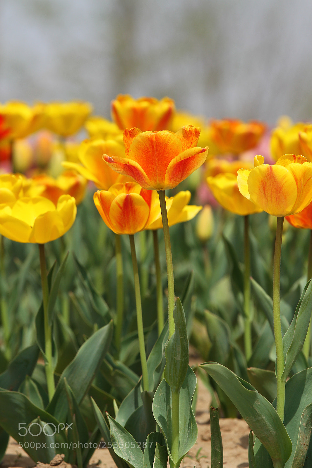 Canon EOS 7D sample photo. Untitled photography