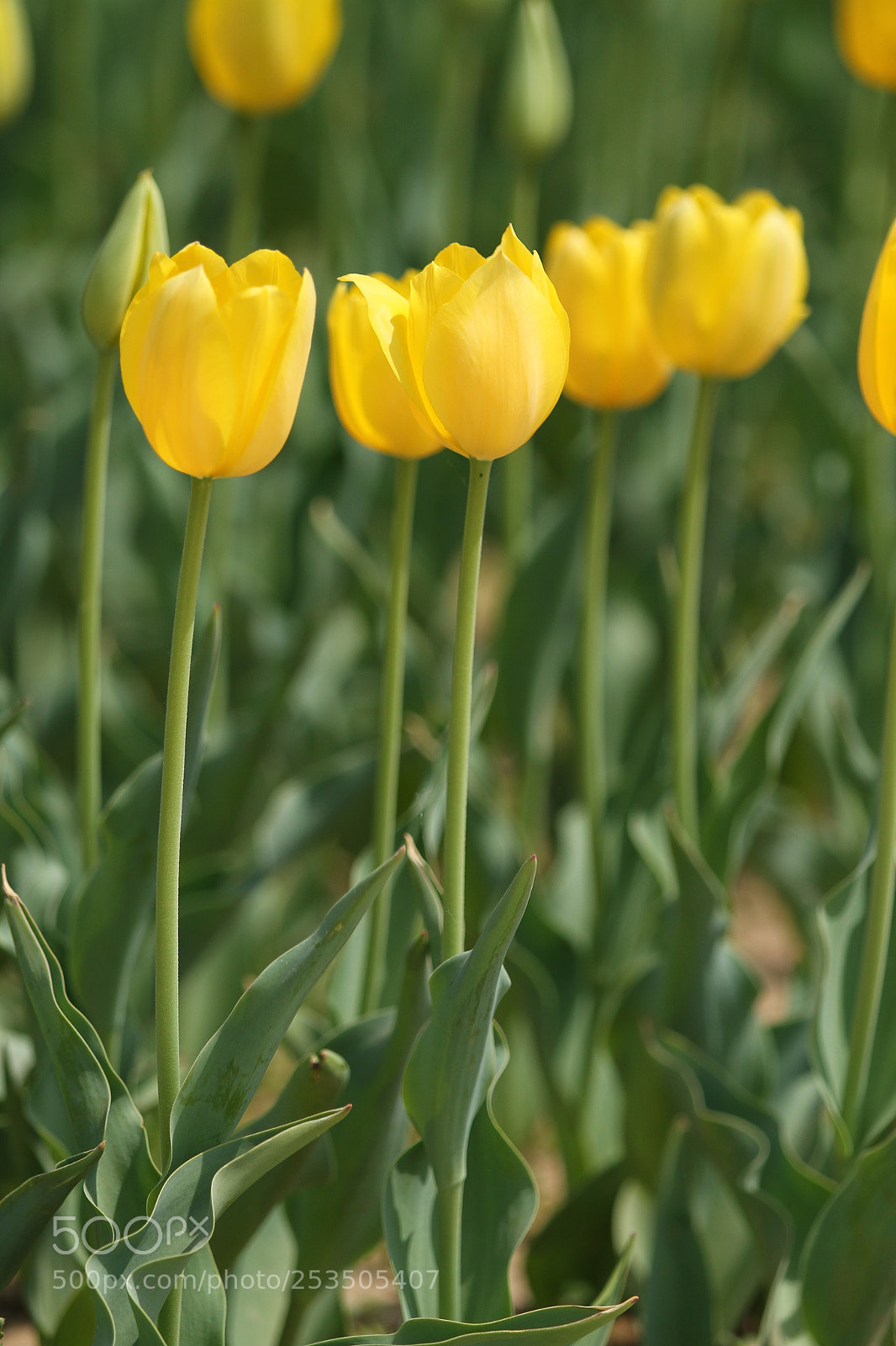 Canon EOS 7D sample photo. Untitled photography