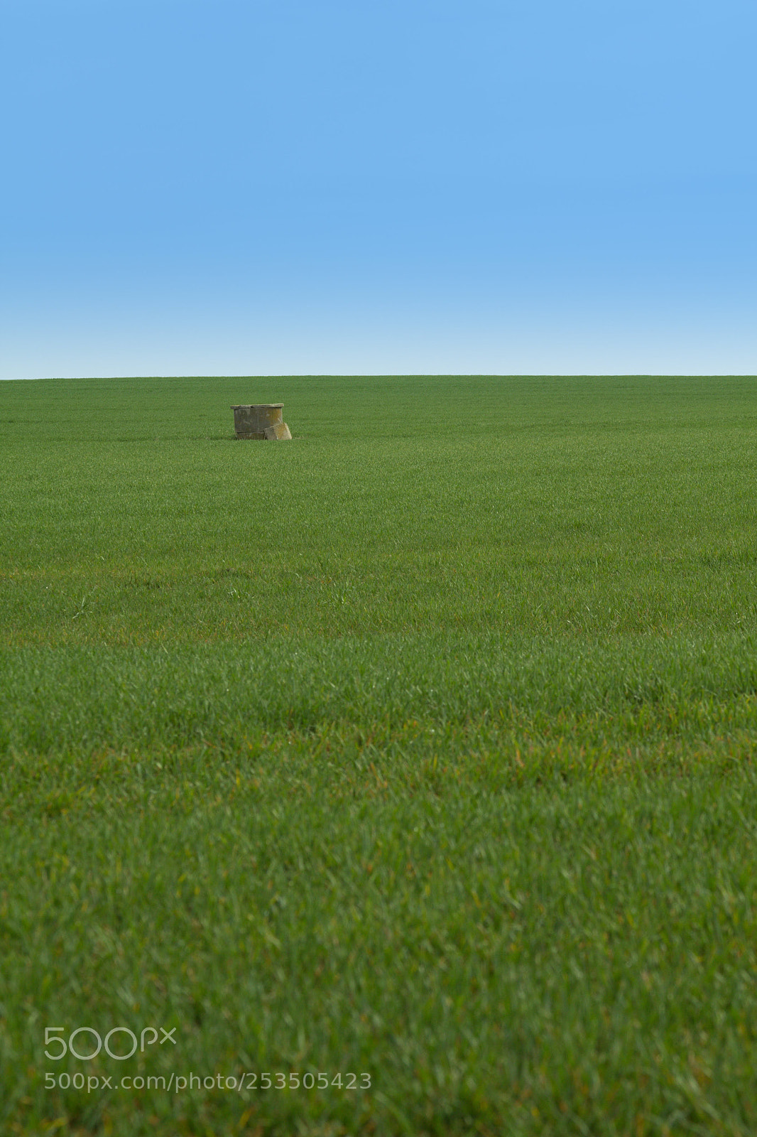 Canon EOS 60D sample photo. Alone photography