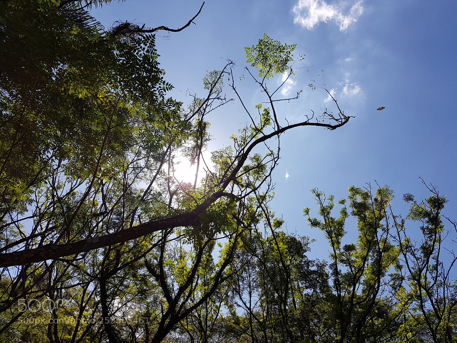 Samsung Galaxy S7 Edge sample photo. Untitled photography