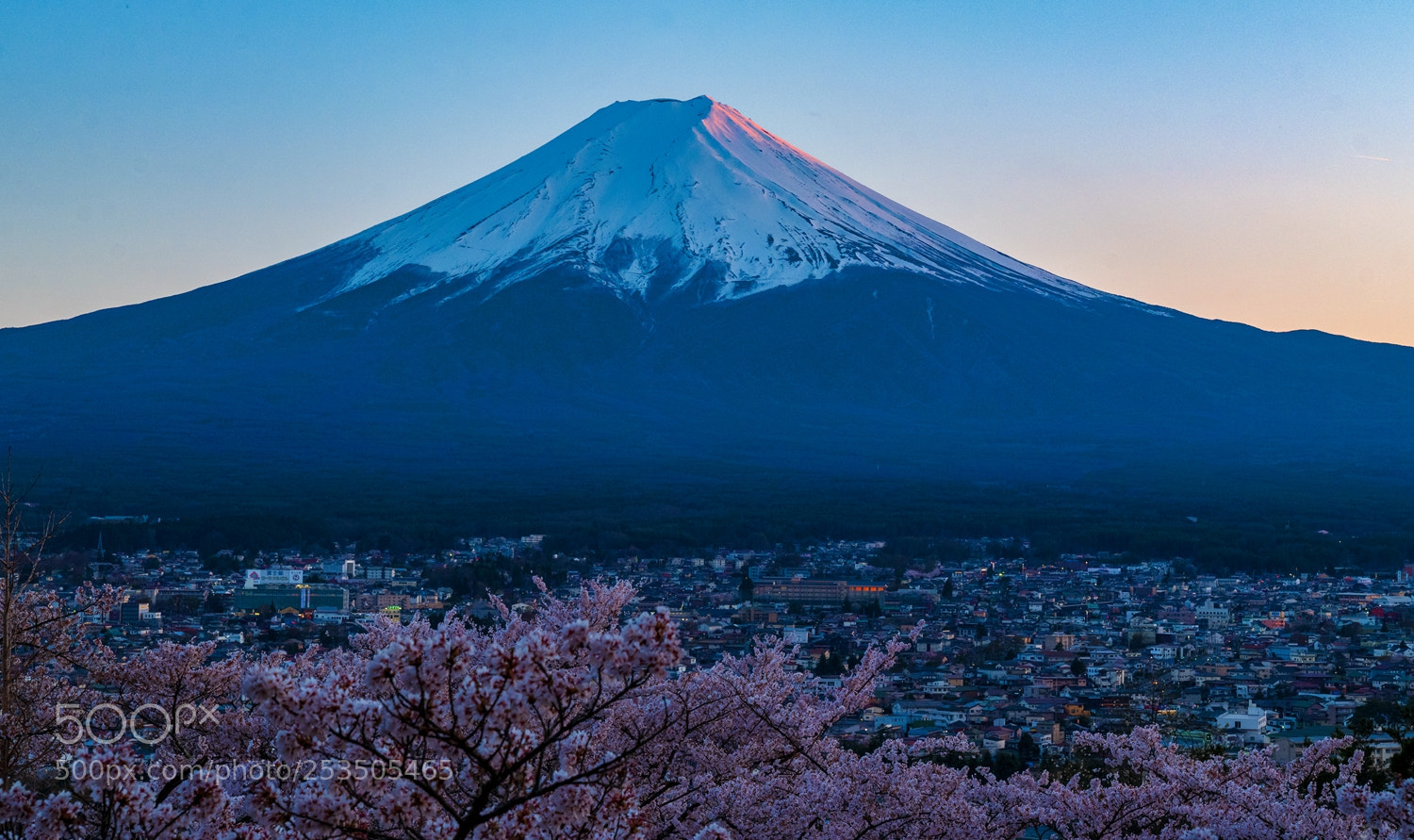 Leica SL (Typ 601) sample photo. 富士山与樱花 photography