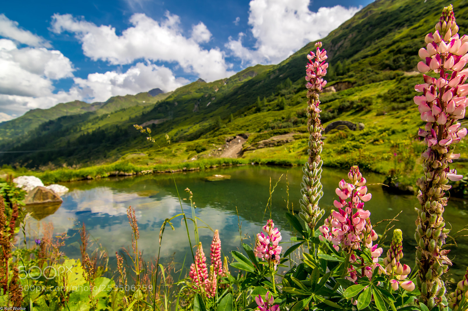 Canon EOS 7D Mark II sample photo. Bergsee photography