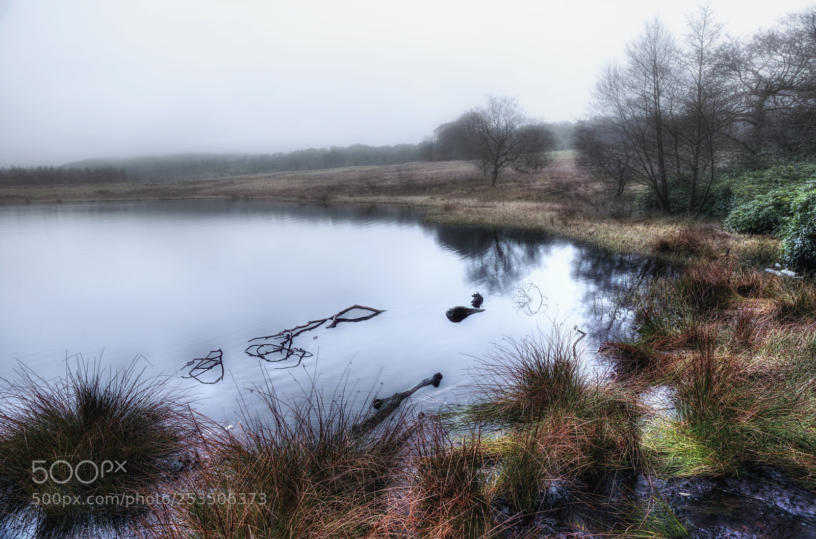 Nikon D750 sample photo. Pond in the mist photography
