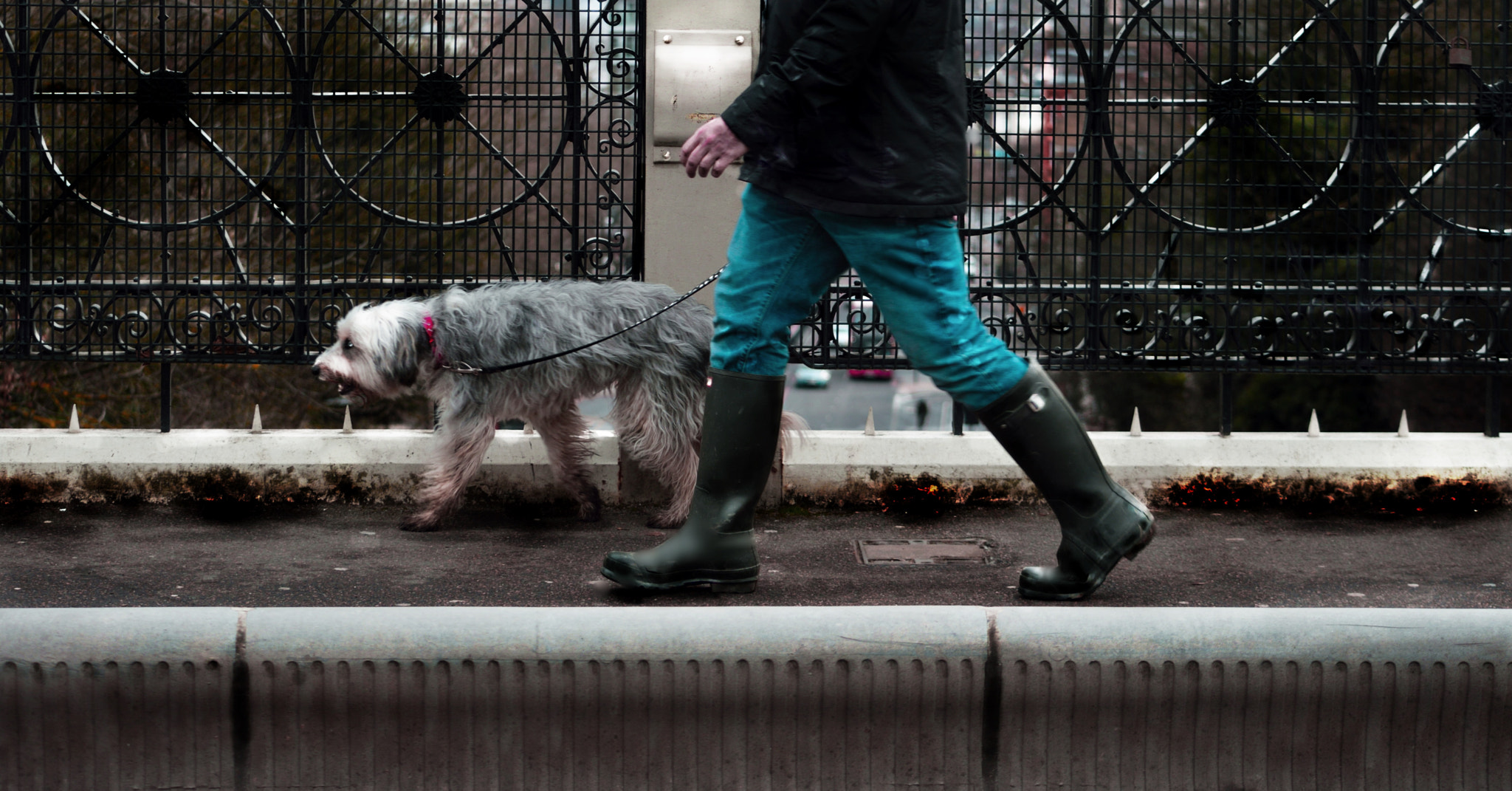 Nikon D3200 sample photo. Dog and man, london. photography