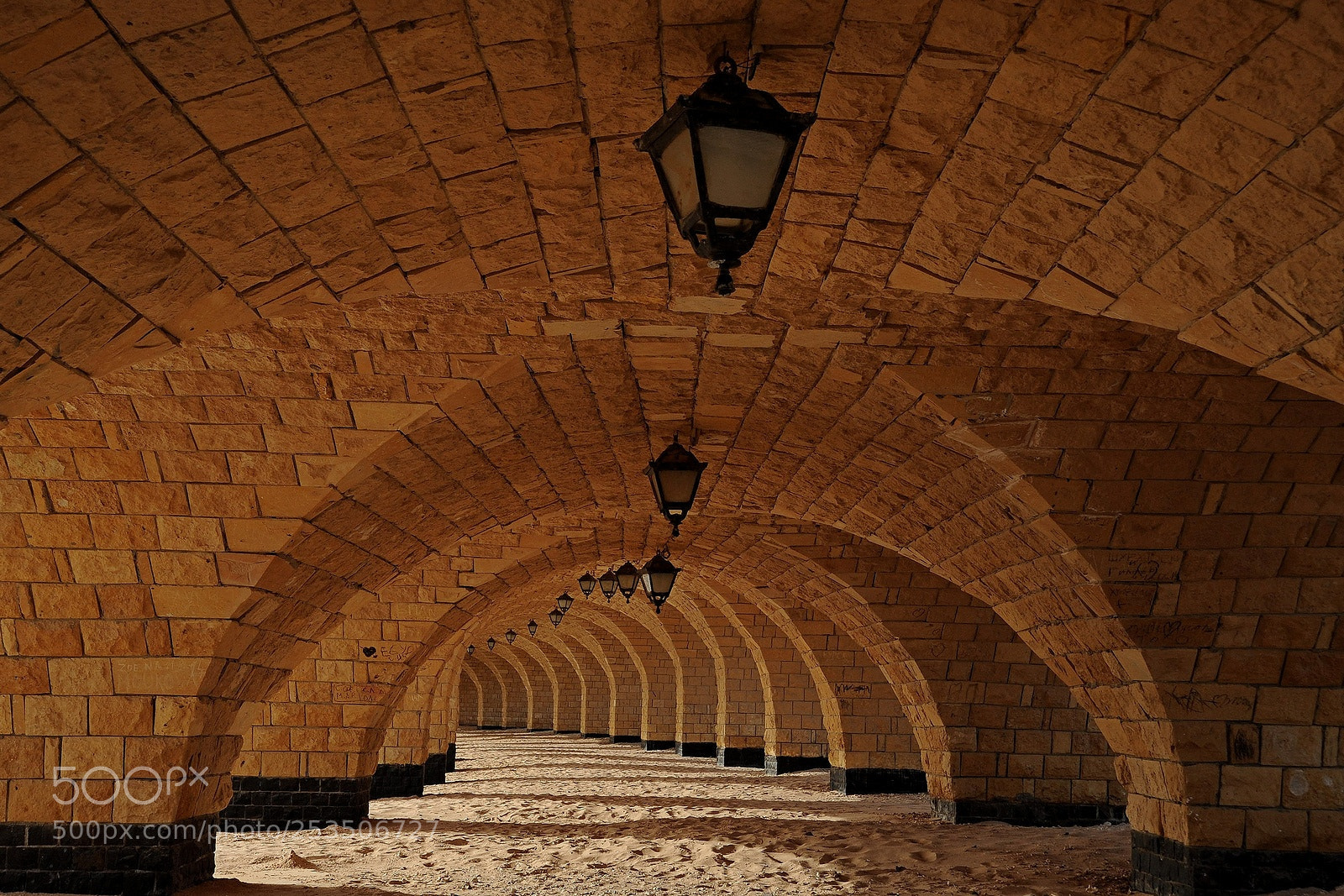 Nikon D700 sample photo. Gallery photography