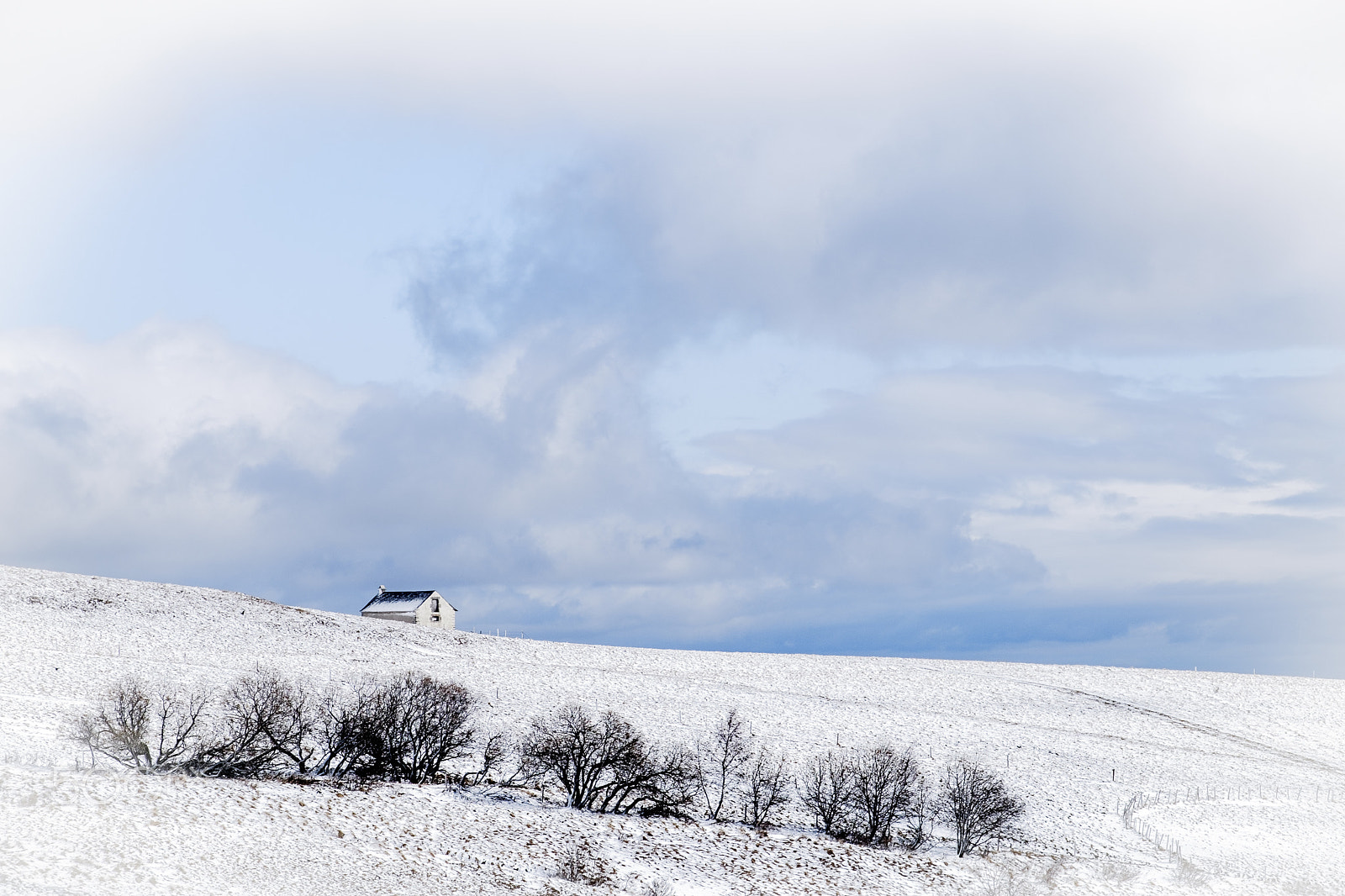 Fujifilm X-T1 sample photo. Cezalier blanc photography