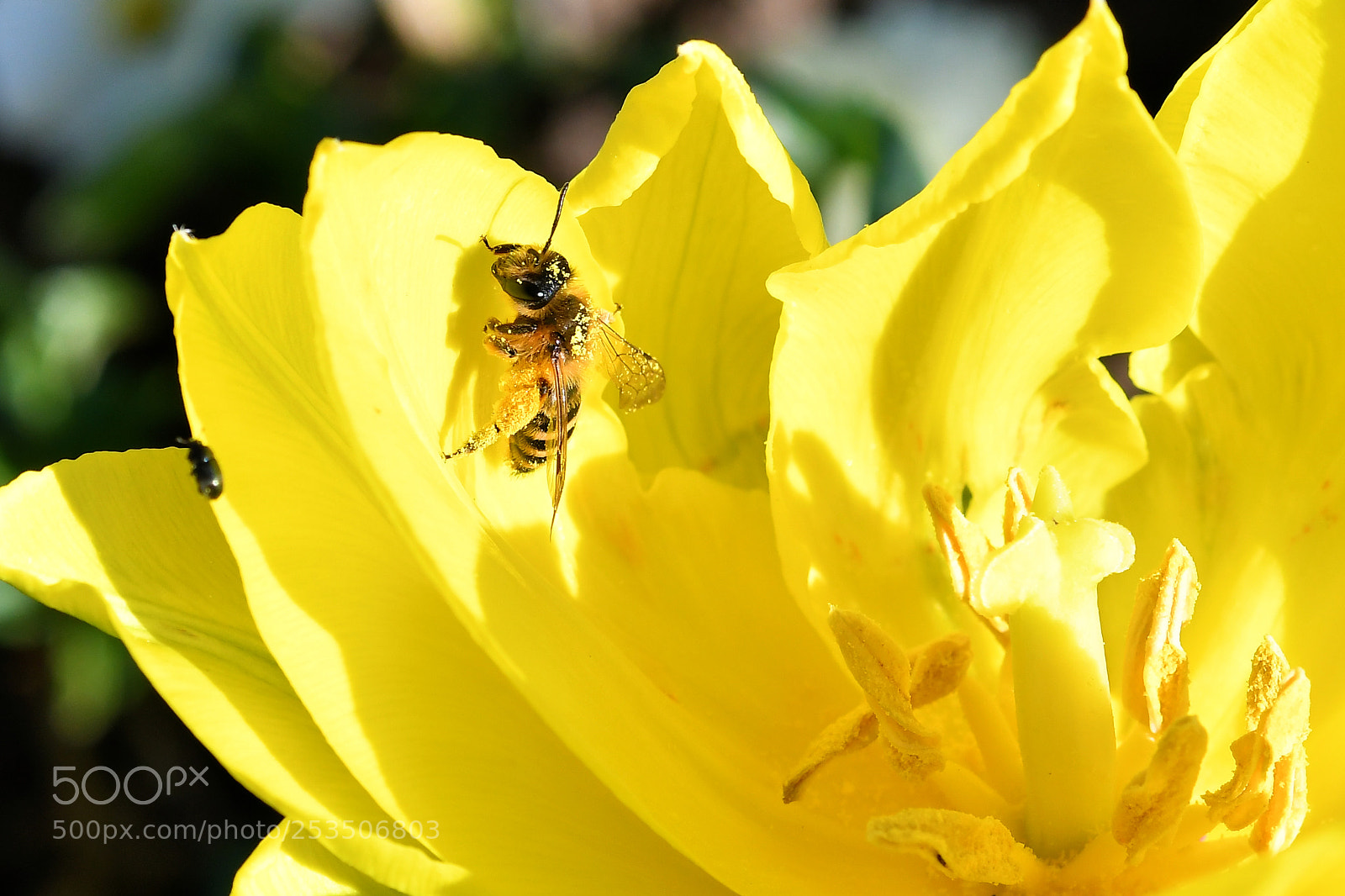 Nikon D500 sample photo. Untitled photography