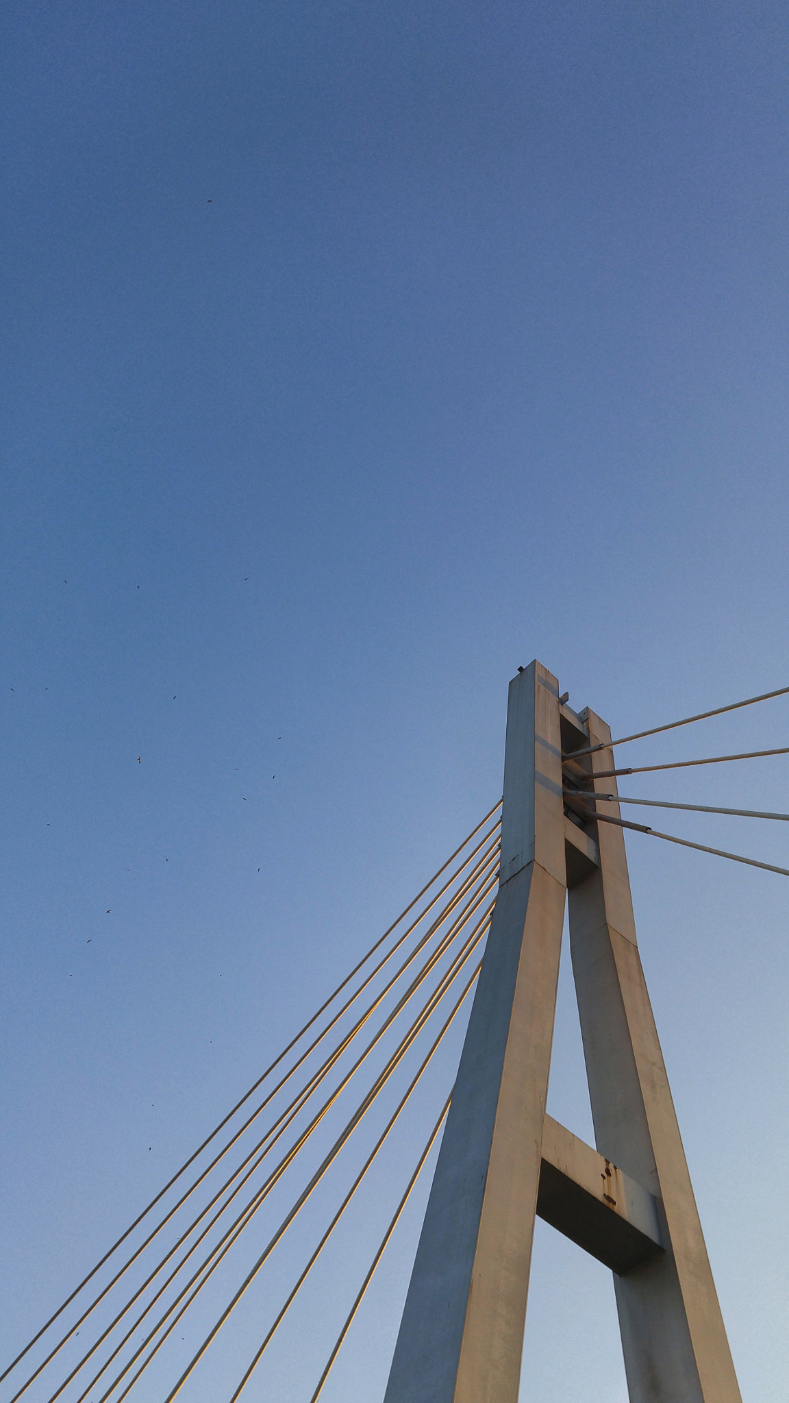 LG H818P sample photo