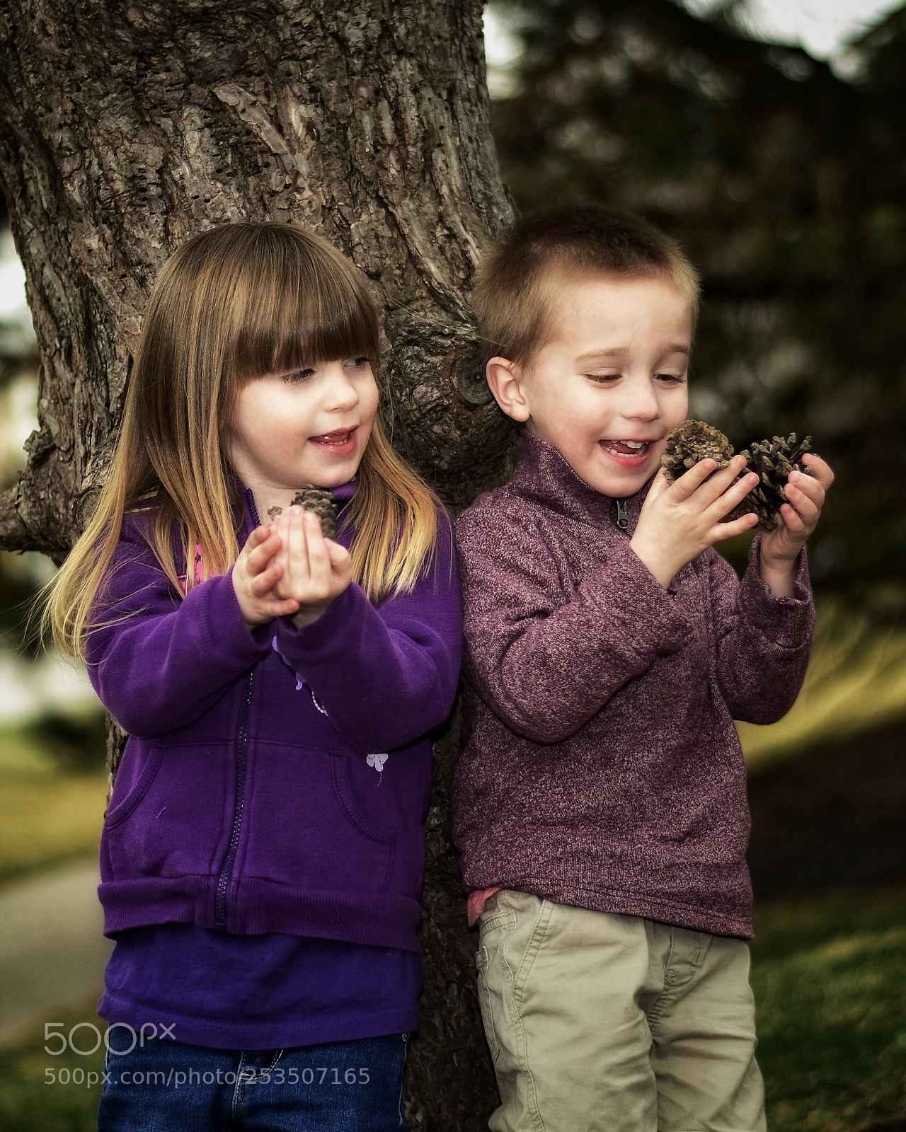 Nikon D5600 sample photo. Pine cone hunting photography