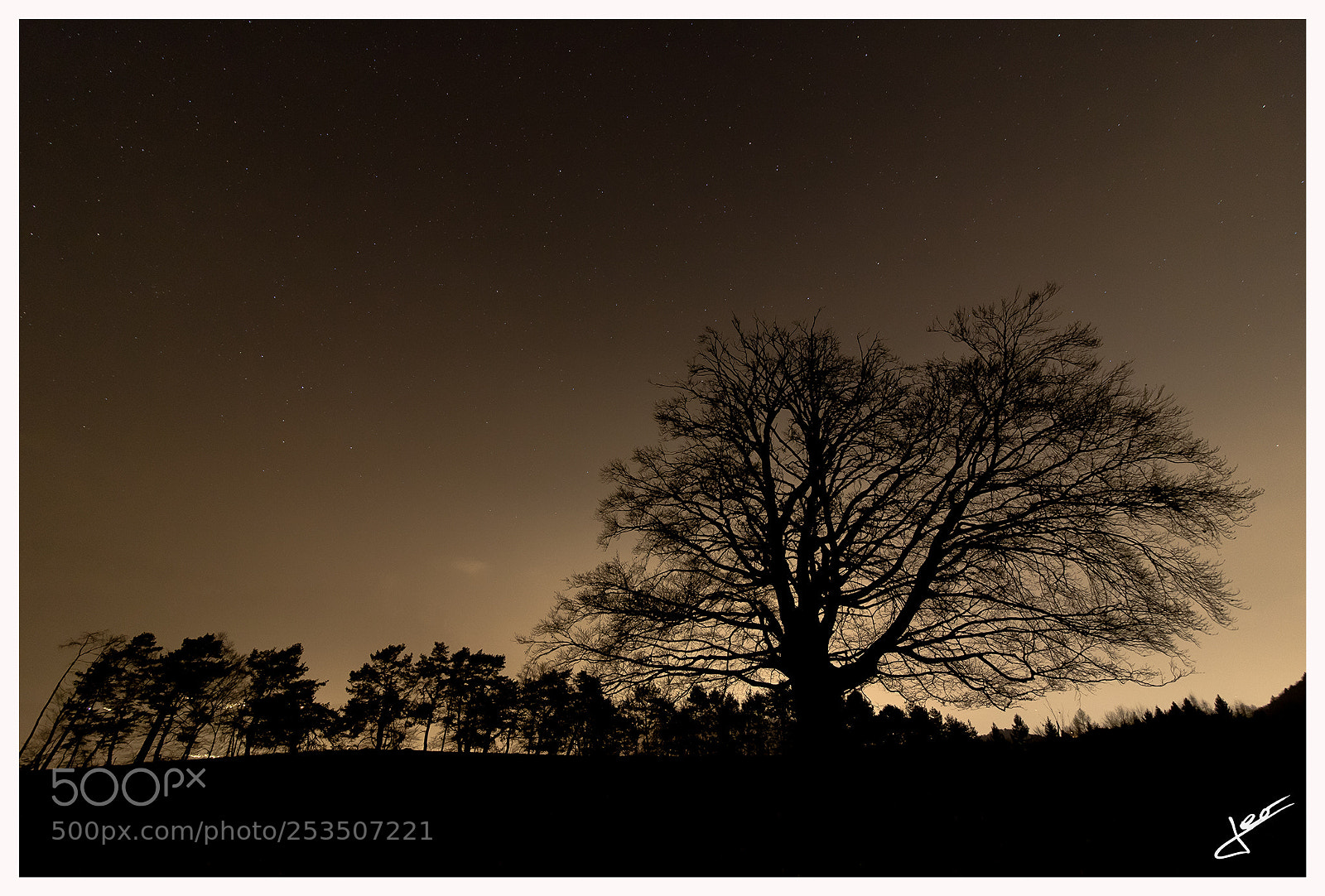 Canon EOS 760D (EOS Rebel T6s / EOS 8000D) sample photo. Trees silhouette photography
