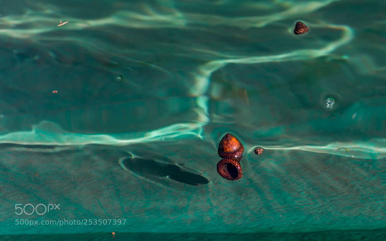 Pentax K-1 sample photo. Im grünen wasser photography