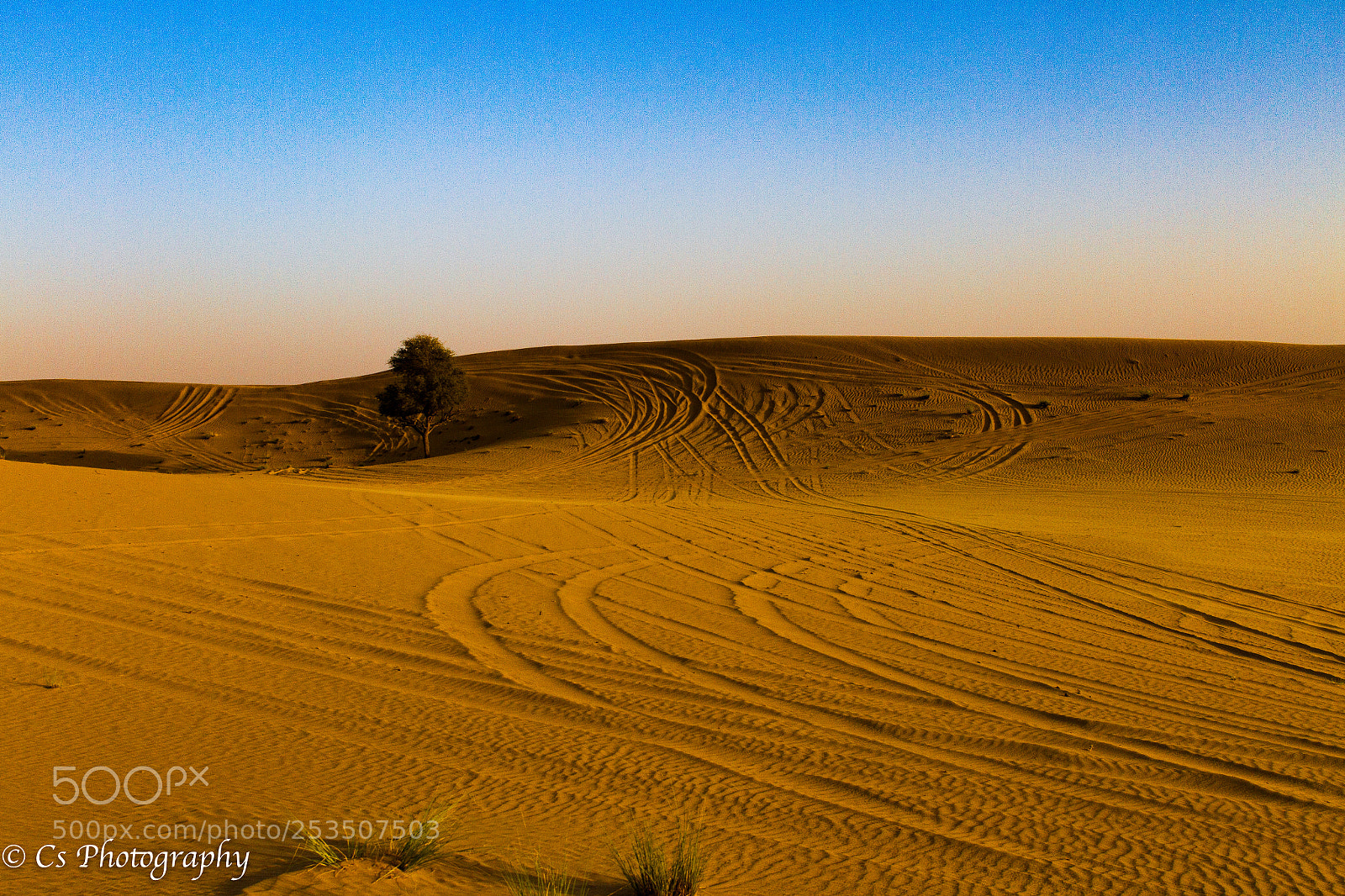 Canon EOS 7D sample photo. Ede bedb photography