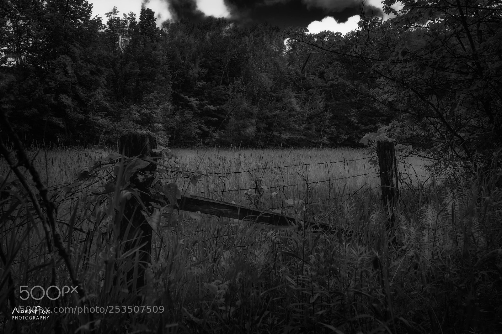 Canon EOS 760D (EOS Rebel T6s / EOS 8000D) sample photo. Old fence photography