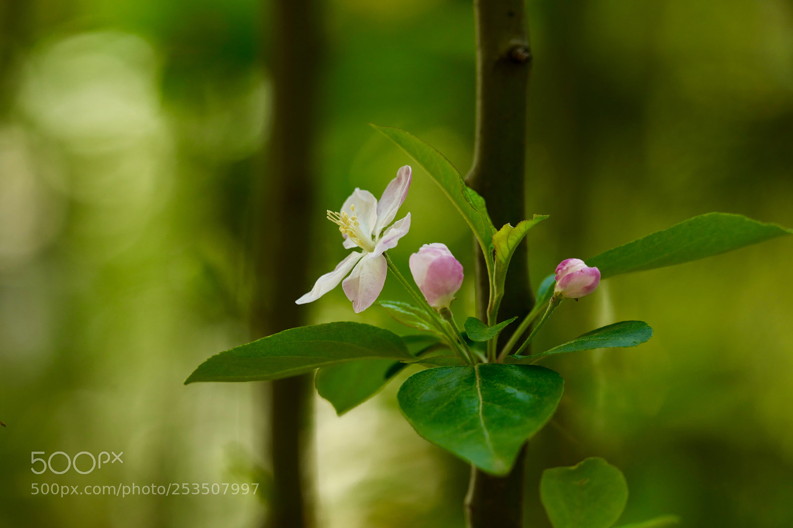 Leica SL (Typ 601) sample photo. Untitled photography