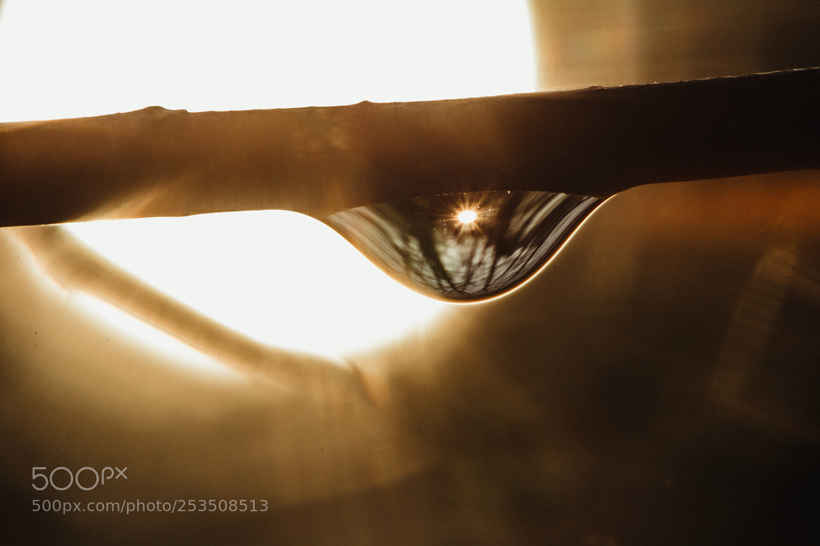 Nikon D7100 sample photo. Sundrop photography