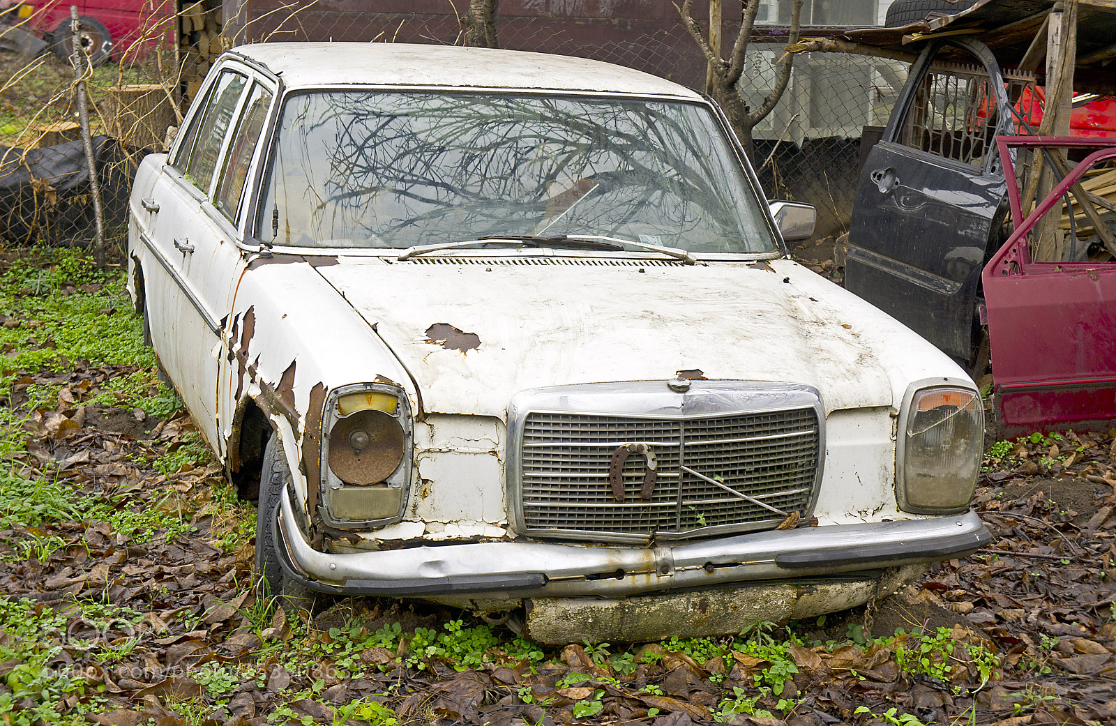 Sony Alpha NEX-5 sample photo. Classic car wreck photography
