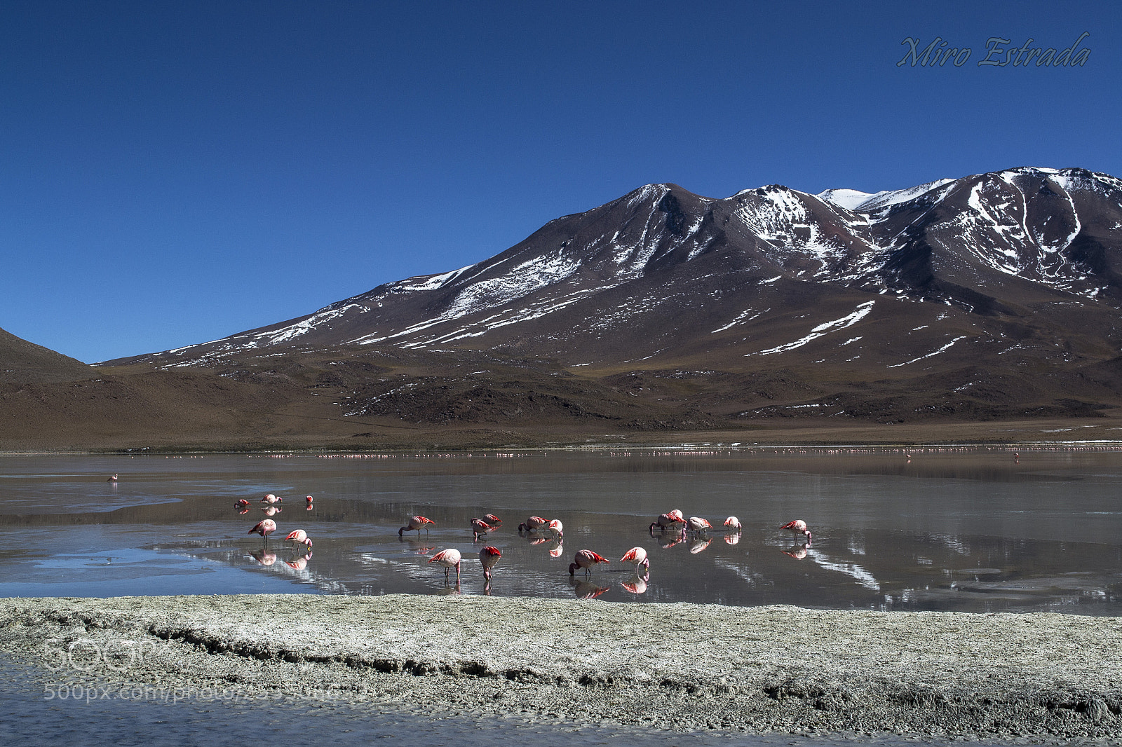 Nikon D3100 sample photo. Andes photography