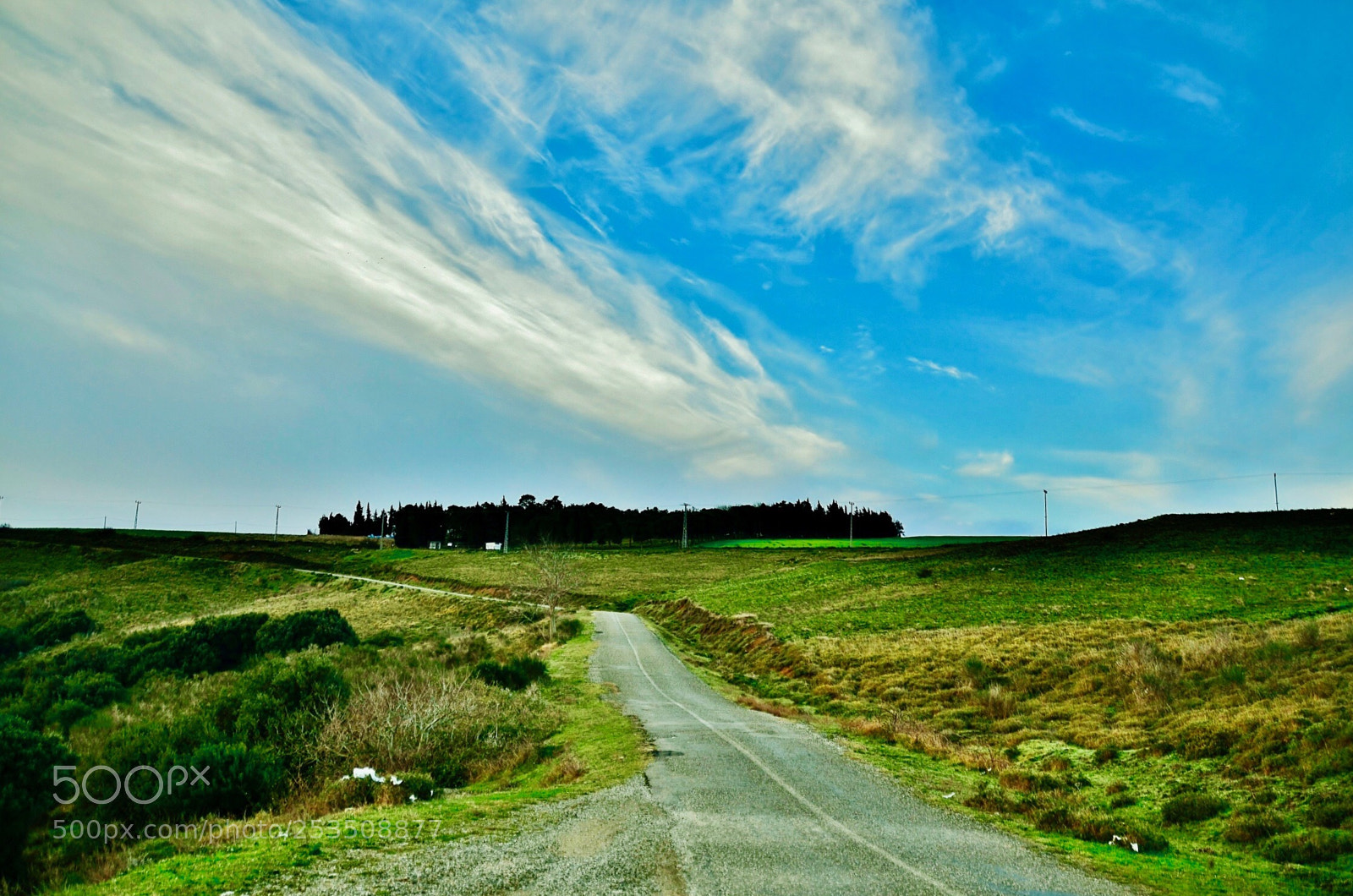 Nikon D7000 sample photo. On the way photography