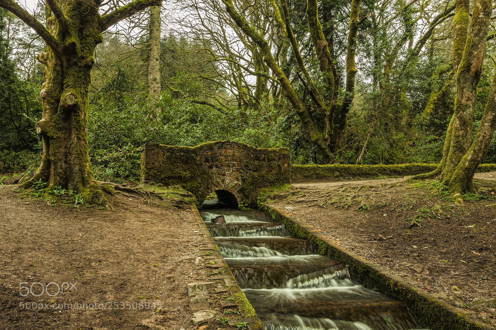 Canon EOS 50D sample photo. Drum manor forest park photography