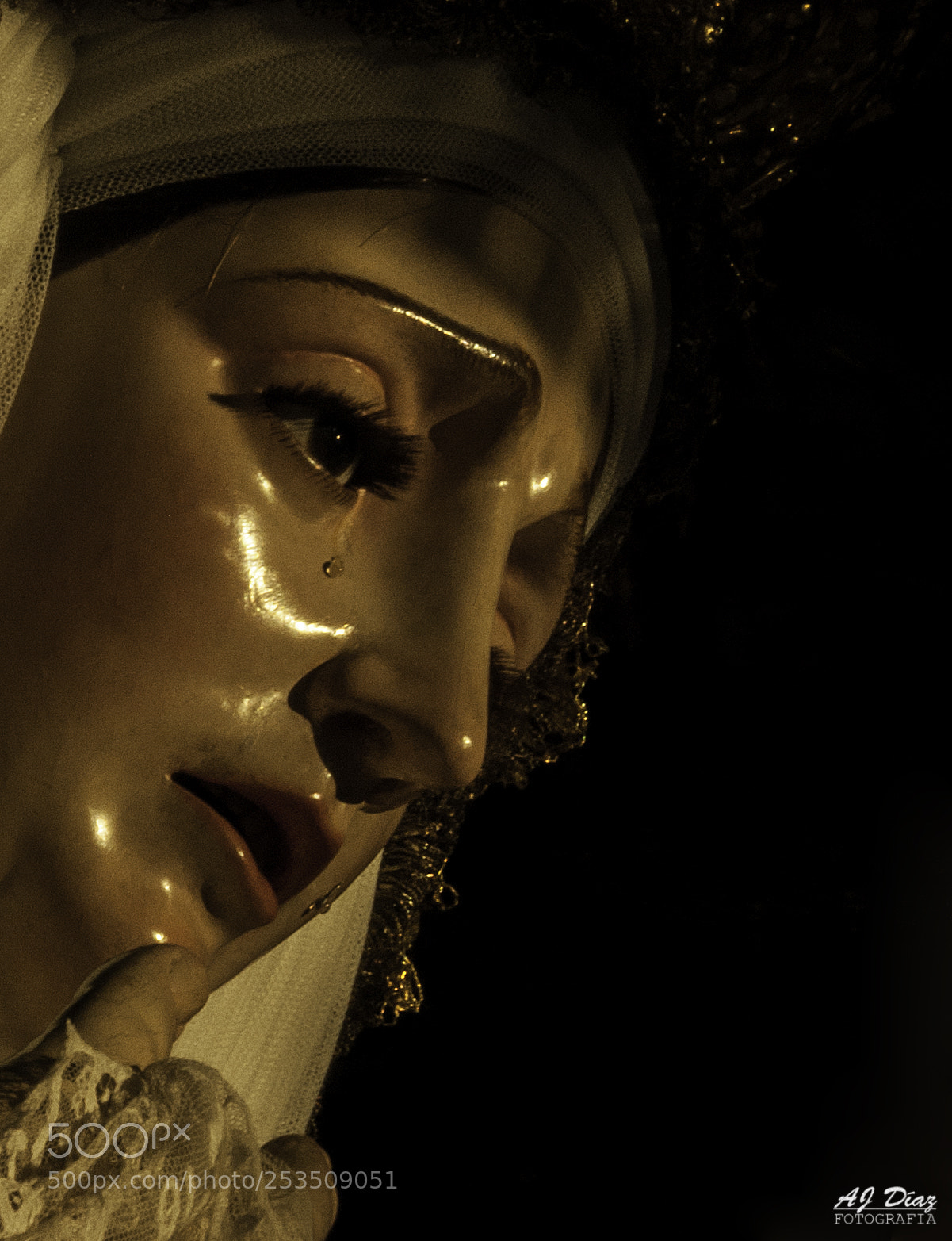 Nikon D3000 sample photo. Untitled photography