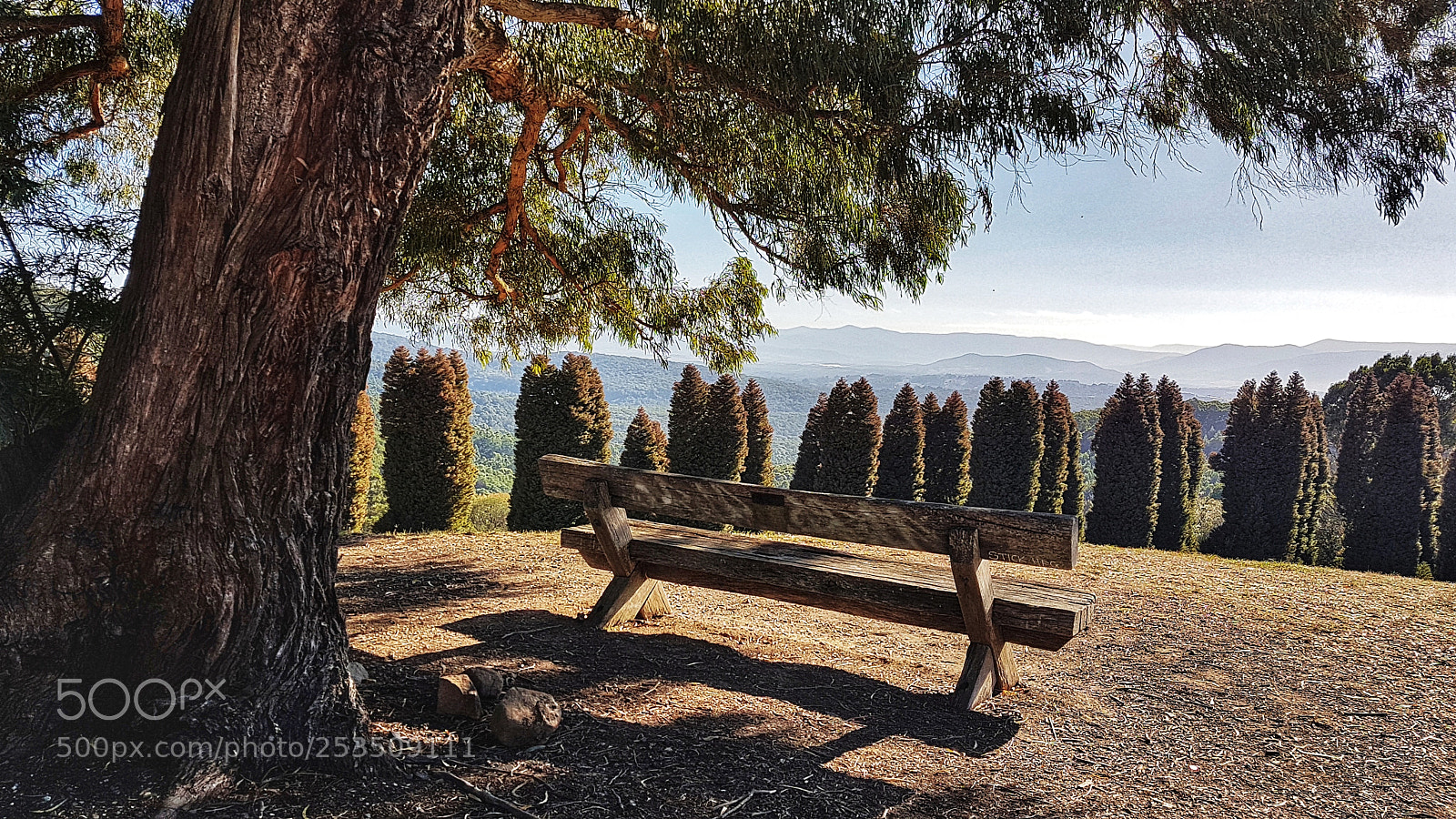 Samsung Galaxy S7 sample photo. Dandenong ranges photography