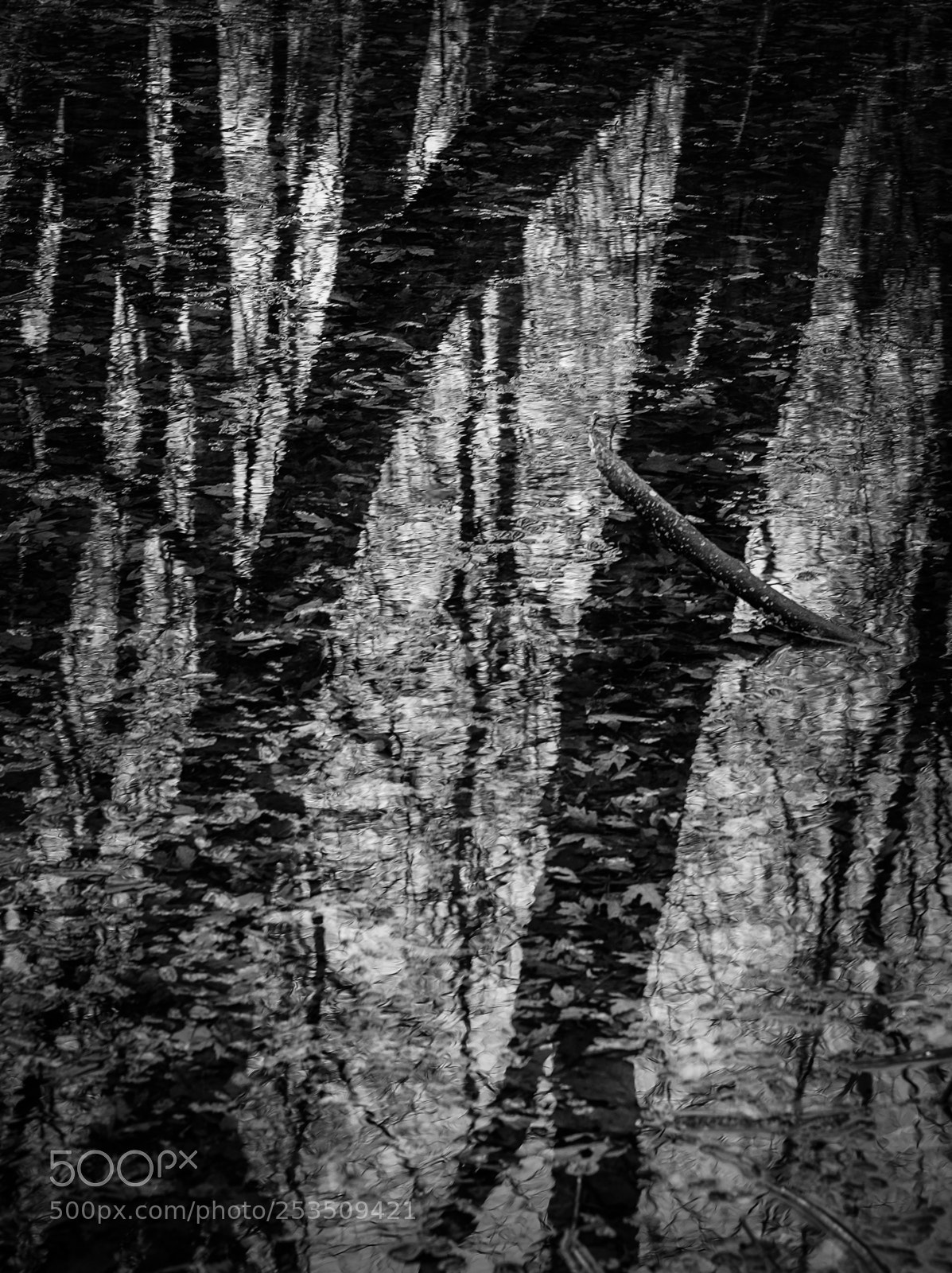 Fujifilm X-T1 sample photo. Puddle photography