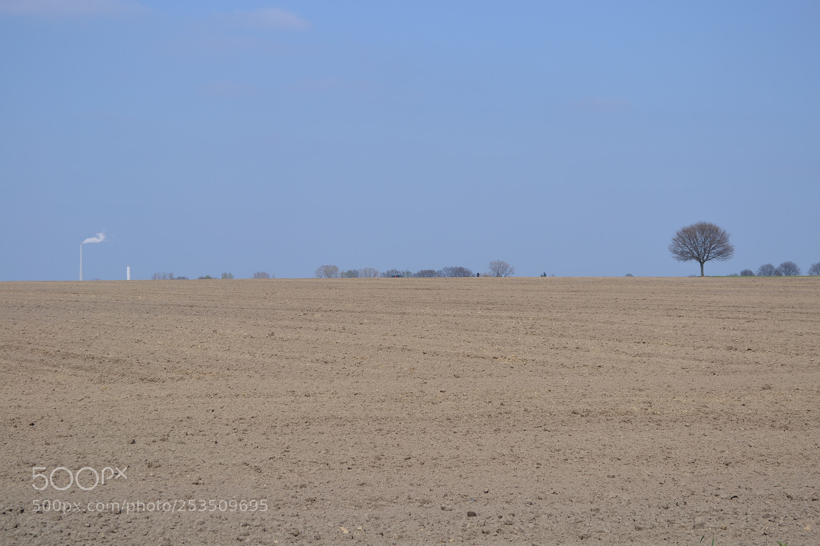 Nikon D3100 sample photo. Lonely tree photography