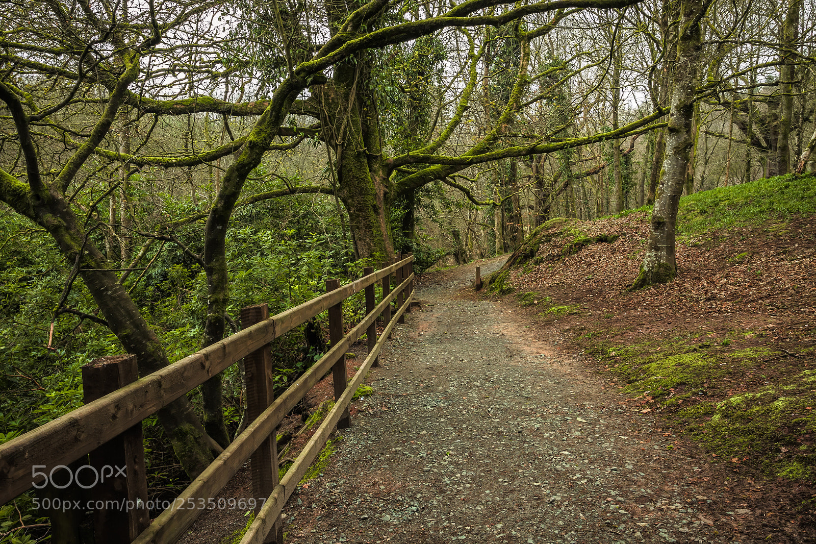 Canon EOS 50D sample photo. Drum manor forest park photography