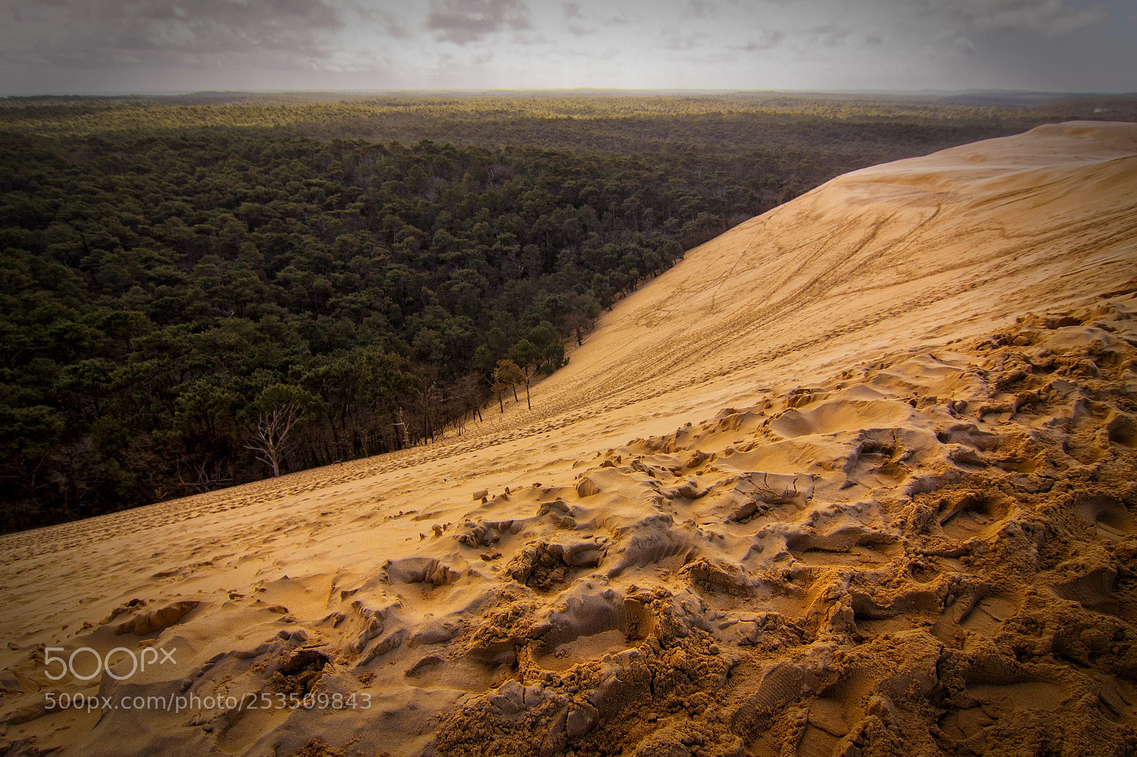 Canon EOS 50D sample photo. Dune du pilat ii photography