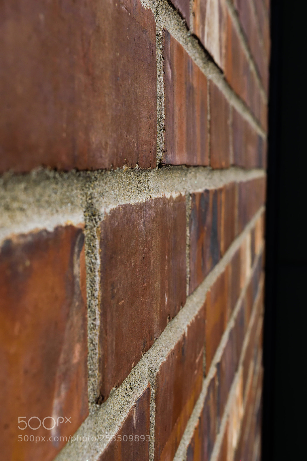 Nikon D3300 sample photo. Brick wall photography