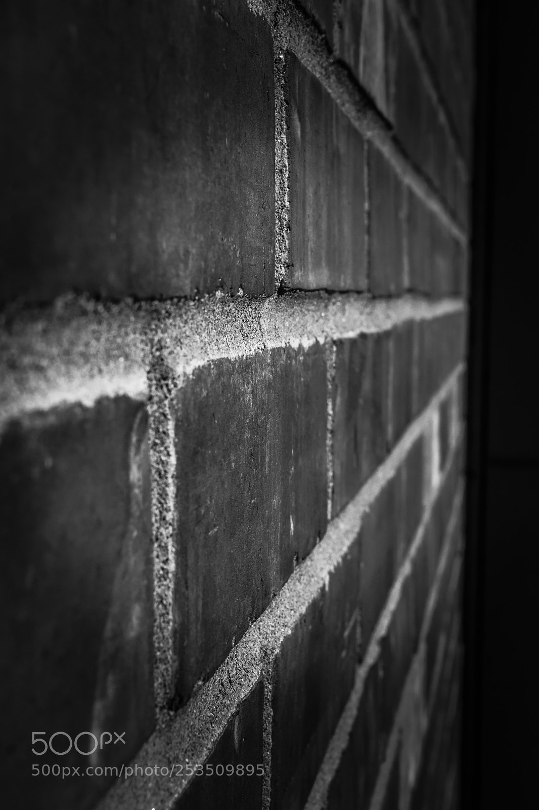 Nikon D3300 sample photo. Sadness photography