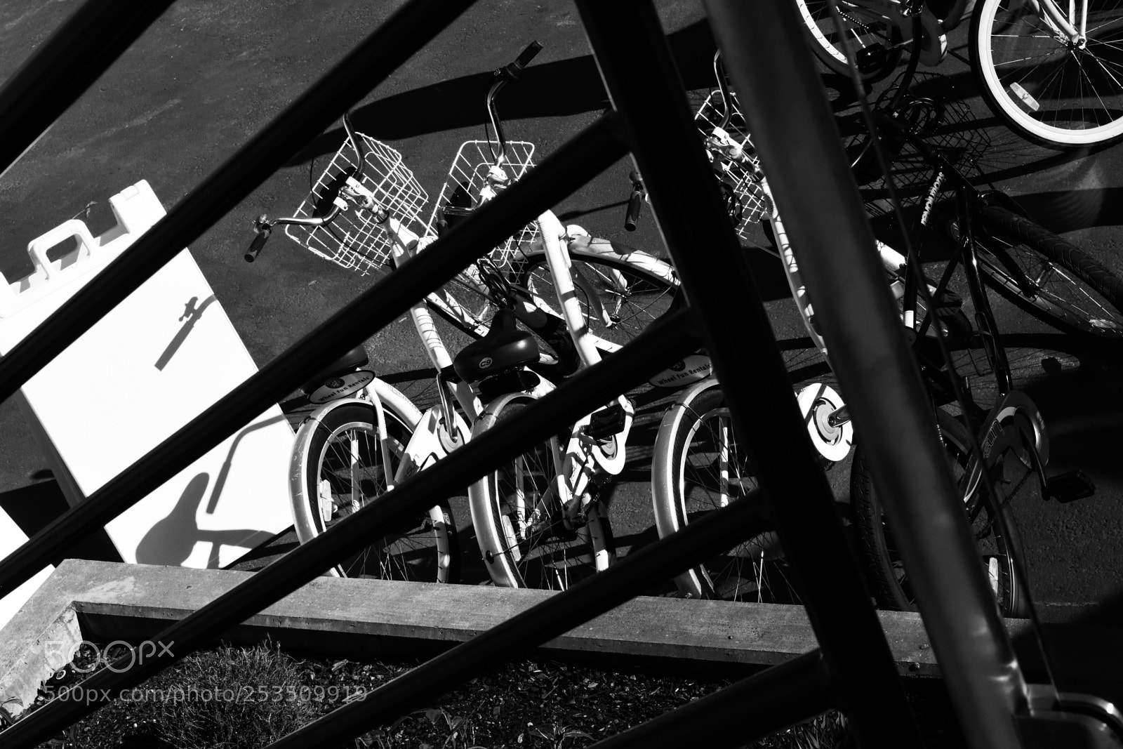 Nikon D3300 sample photo. Go for a ride photography