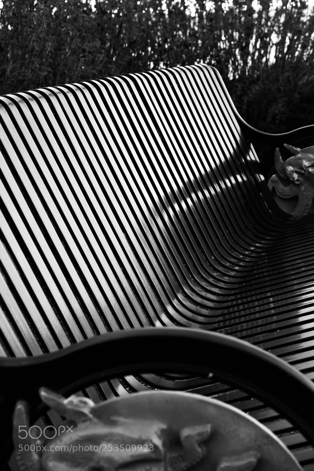 Nikon D3300 sample photo. Bench photography