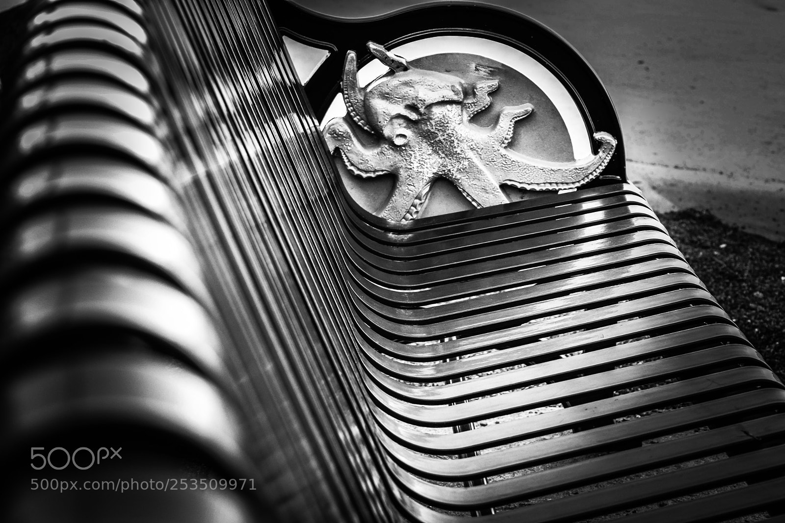Nikon D3300 sample photo. Octopus bench photography