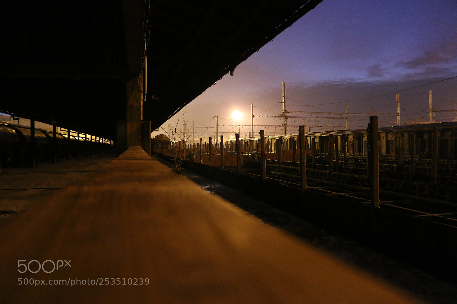 Canon EOS 70D sample photo. Img photography