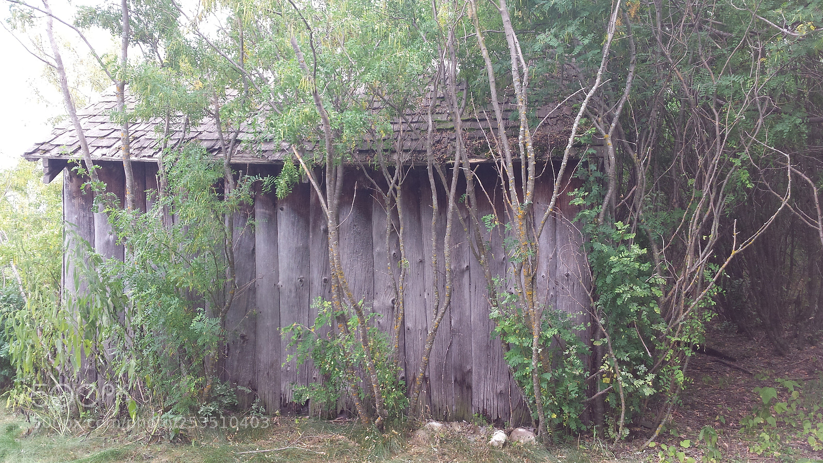 Samsung Galaxy S4 sample photo. Natures beauty photography