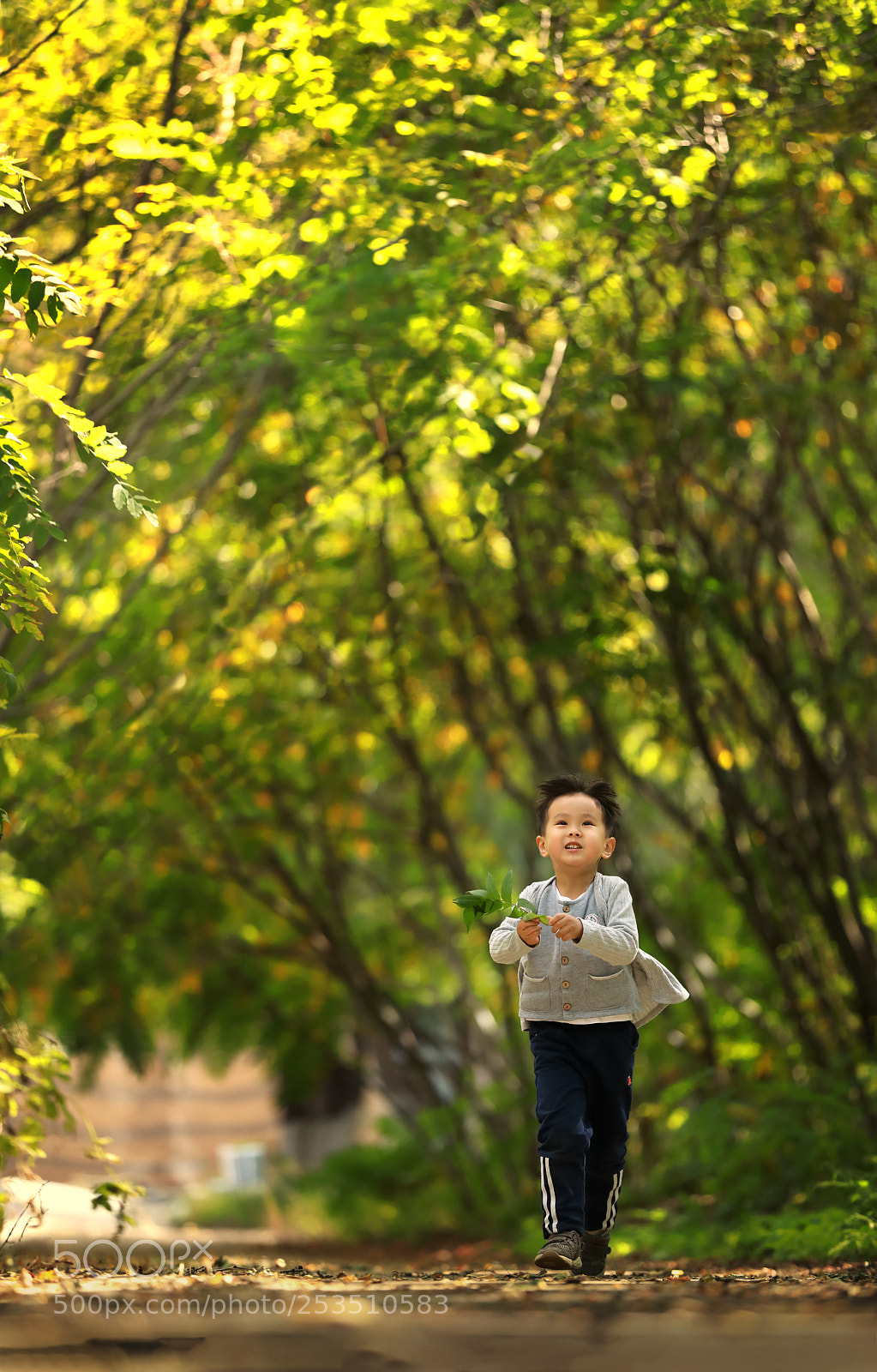 Canon EOS 5D Mark IV sample photo. 期望 photography