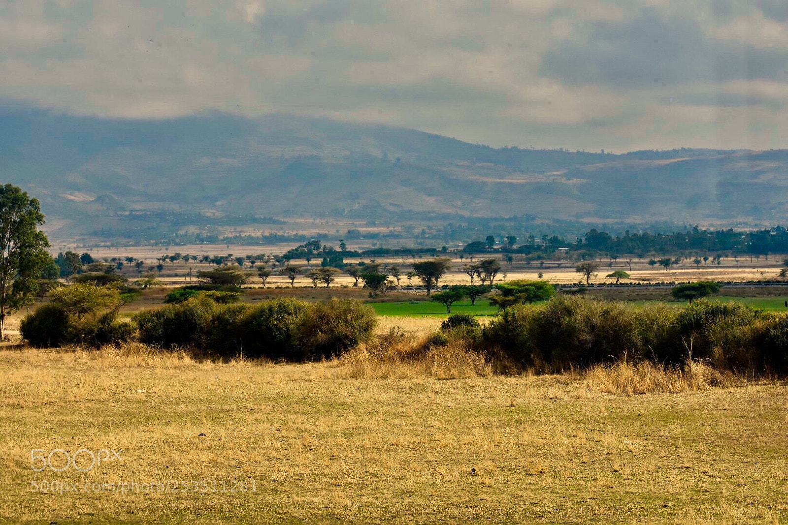 Nikon D7200 sample photo. Untitled photography