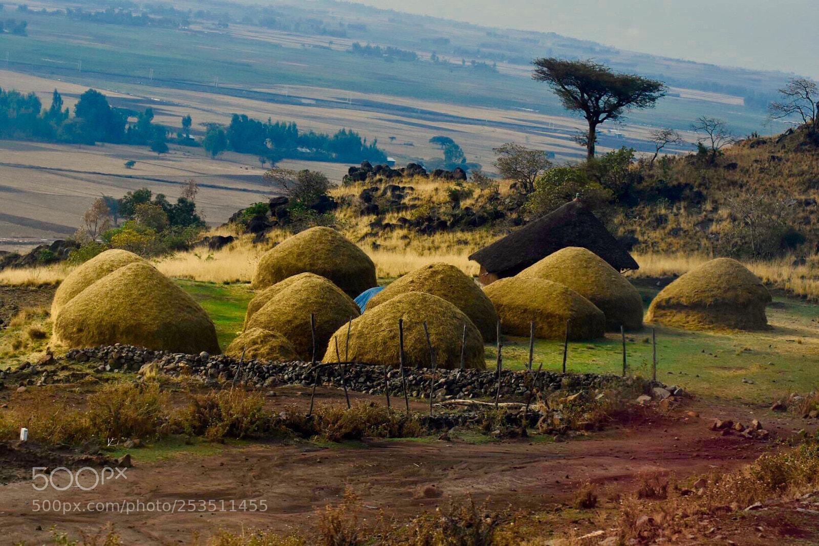 Nikon D7200 sample photo. Country side views, ethiopia. photography