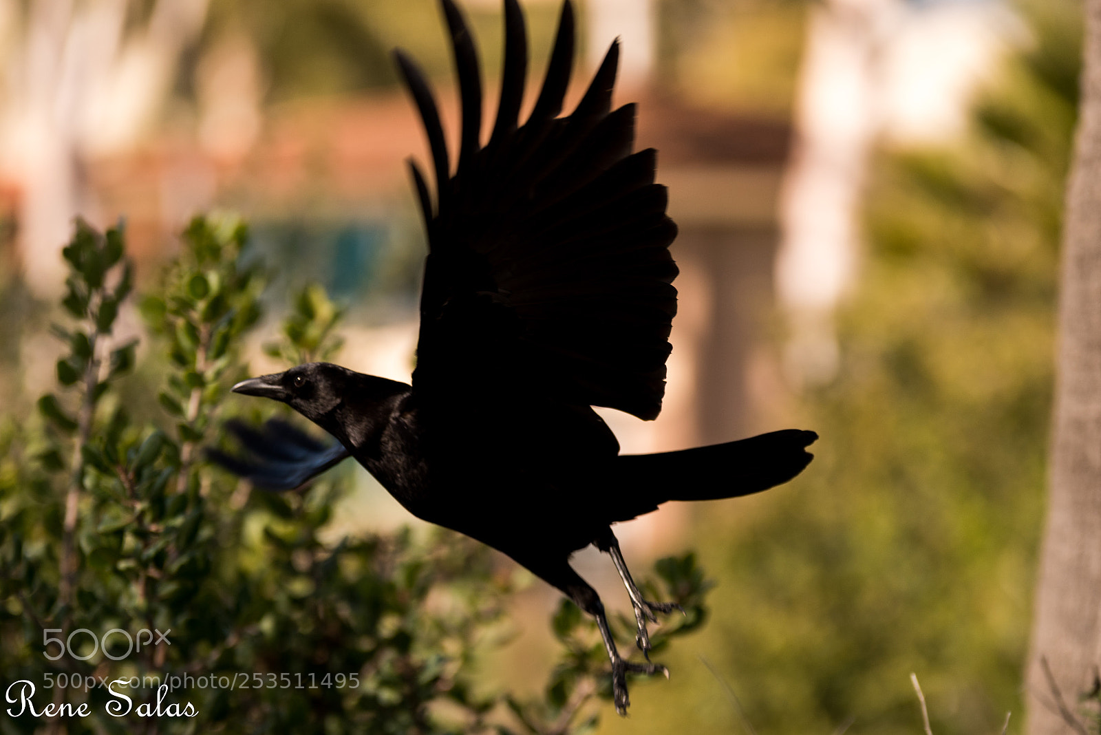 Nikon D810 sample photo. Santabarbara 2 photography