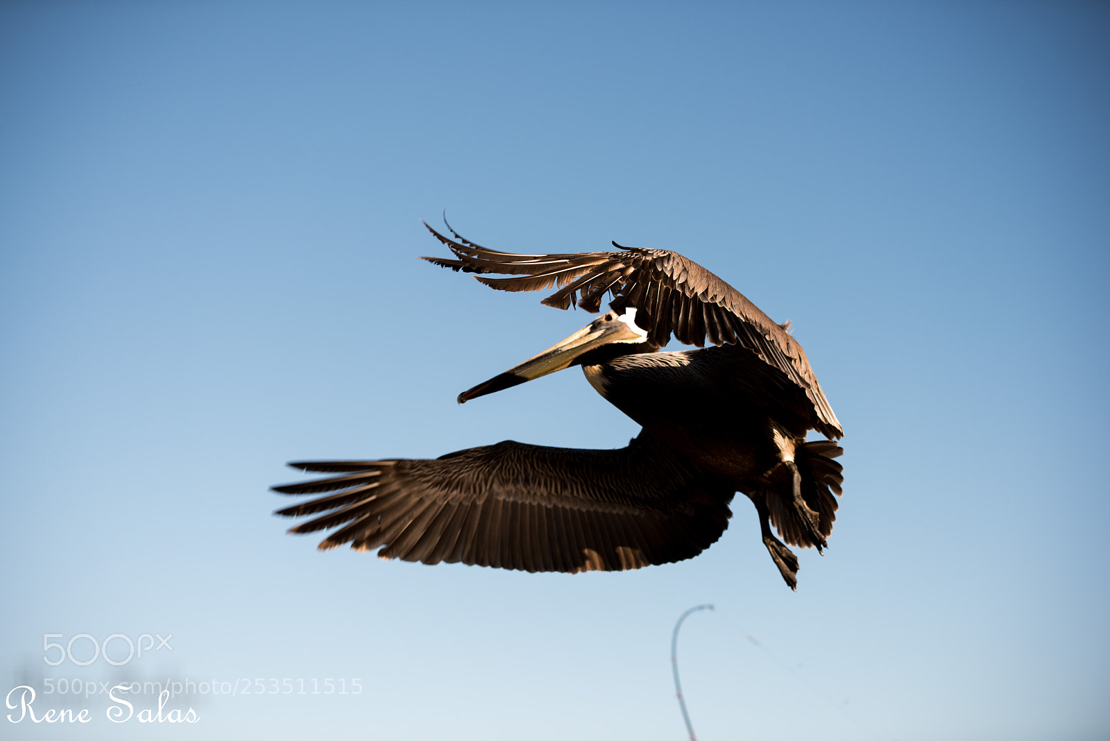 Nikon D810 sample photo. Santabarbara 10 photography