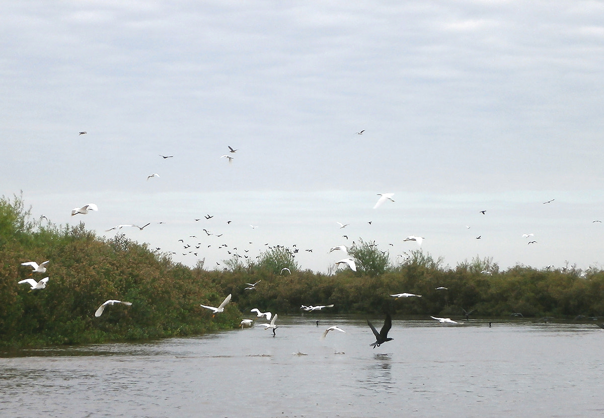 Olympus VG180,D770 sample photo. Rio dulce... photography