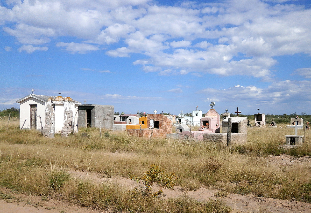 Olympus VG180,D770 sample photo. Taco pozo... photography
