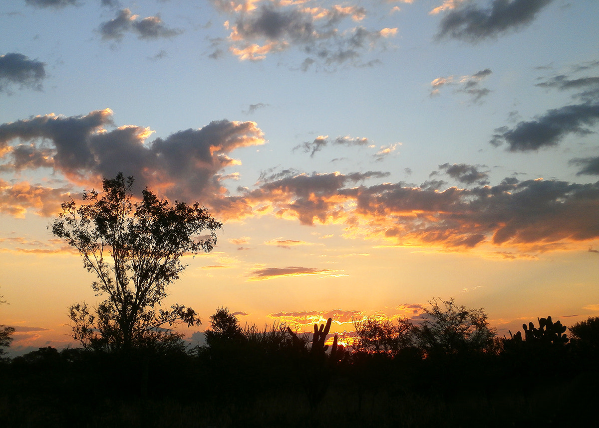 Olympus VG180,D770 sample photo. Atardecer en los quebrachos... photography