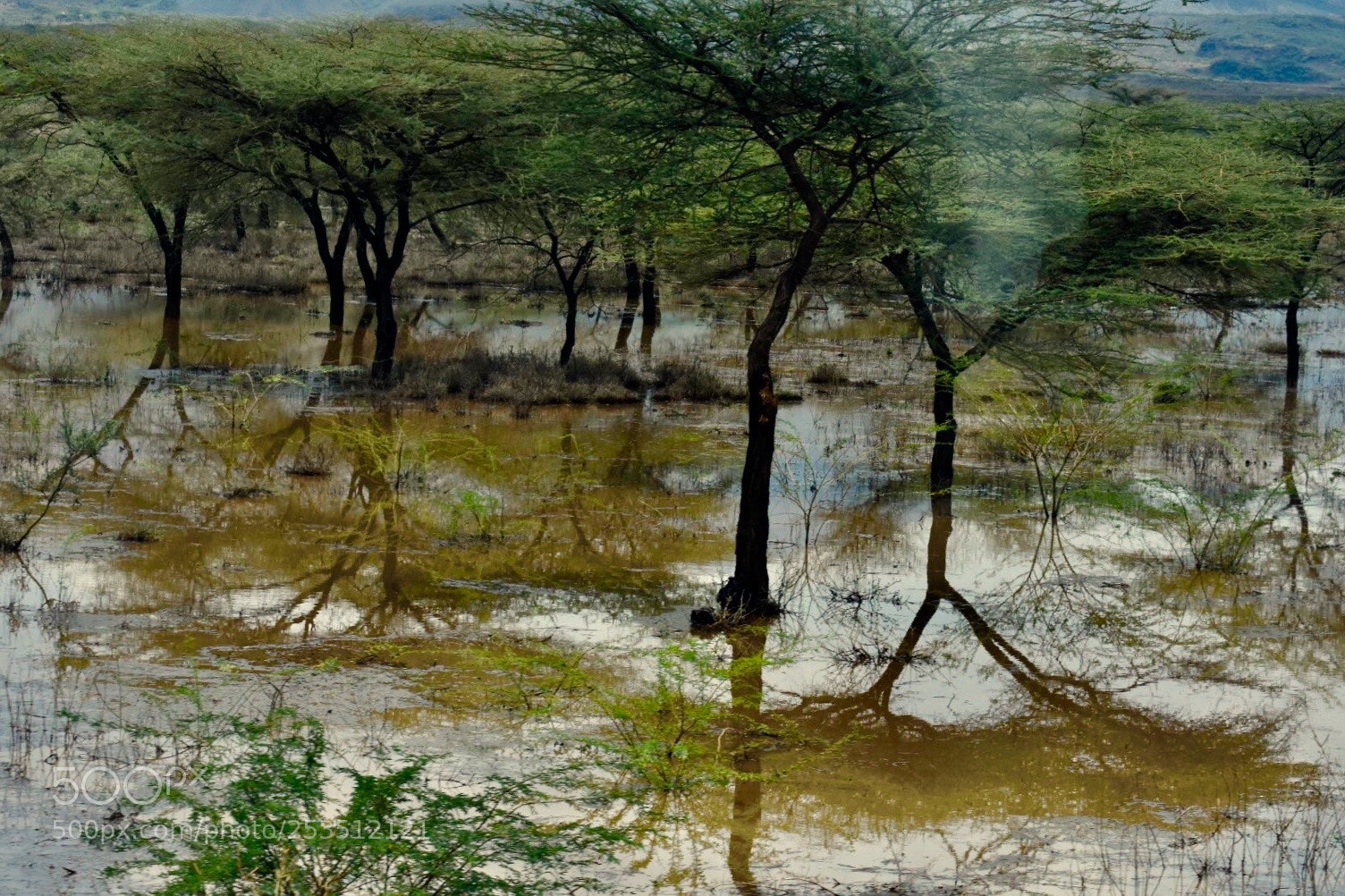 Nikon D7200 sample photo.  nature views..... photography