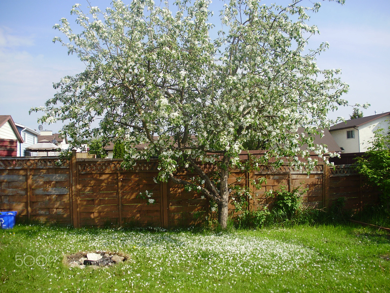 Olympus FE330,X845,C550 sample photo. Natures beauty photography